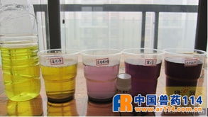 烈酒甜味背后 如何科学判断脱霉剂处理霉菌毒素的能力？