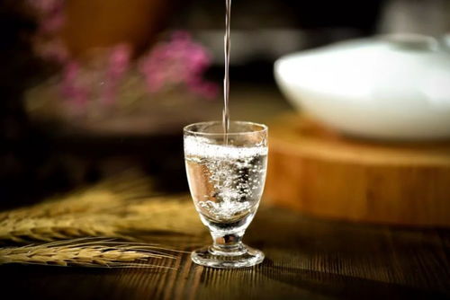 醉酒的六重境界 从微醺到致命，你了解多少？